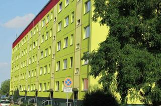 Wohnung mieten in Am Mühlenberg 27, 39326 Zielitz, Wohnen mit herrlichem Blick bis zum Elbauenpark