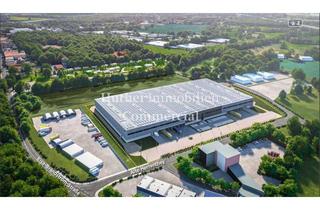 Büro zu mieten in 44536 Lünen, Provisionsfrei: Topmoderne Neubau-Hallen mit Büro und Mezzanine sowie Stellplätzen