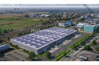 Büro zu mieten in 38518 Gifhorn, Provisionsfrei: Topmoderne Neubau-Hallen mit Büro und Mezzanine sowie Stellplätzen