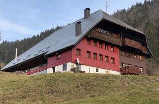 Haus kaufen in 79682 Todtmoos, Todtmoos - Schwarzwaldhaushälfte zu verkaufen
