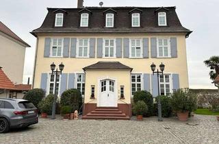 Wohnung mieten in Schäfergasse, 65428 Rüsselsheim am Main, Stilvolle möblierte 3-Raum-Wohnung mit gehobener Innenausstattung in Rüsselsheim zu vermieten