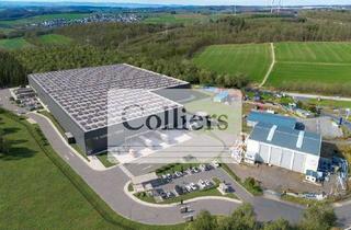 Gewerbeimmobilie mieten in 55469 Simmern, Exklusives Co-Lead Mandat | Provisionsfreier Logistikneubau