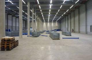 Gewerbeimmobilie mieten in 54486 Mülheim (Mosel), 5.000 m² | Lager-/Produktionshallen | Kranbahnen