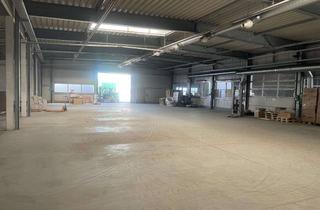 Gewerbeimmobilie mieten in 89250 Senden, Lager-Produktionsflächen mit 1.380qm in Senden (Kalthalle)