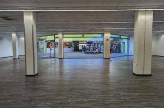 Gewerbeimmobilie mieten in 76887 Bad Bergzabern, Gewerberäume mit vielfältigen Möglichkeiten im Herzen Bad Bergzaberns