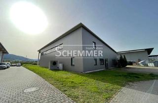 Gewerbeimmobilie mieten in 79261 Gutach im Breisgau, Großzügige Halle mit Sektionaltor in Gewerbegebiet