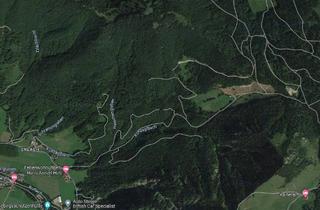 Grundstück zu kaufen in 83700 Rottach-Egern, Waldfläche am Kühzagl im Gemeindegebiet Rottach-Egern