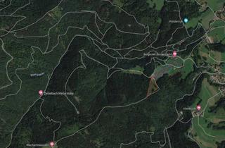 Grundstück zu kaufen in 83707 Bad Wiessee, Waldgrundstück in Höhenlage von Bad Wiessee
