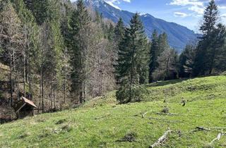 Grundstück zu kaufen in 83700 Rottach-Egern, Wald und Grünland in attraktiver Höhenlage am Tegernsee