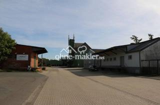 Gewerbeimmobilie kaufen in 38539 Müden (Aller), Attraktives Grundstück am Ortsrand von Müden für Ihre Investition