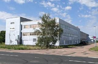 Gewerbeimmobilie kaufen in 06847 Dessau-Roßlau, Dessau - RIESEN MEHRZWECKHALLEN DIREKT AN A9!