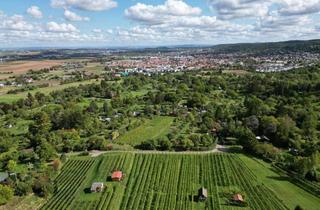 Grundstück zu kaufen in 70839 Gerlingen, Secret Sale - Eine Rarität, Baugrundstück mit Haus in einer herrlichen Aussichtslage von Gerlingen