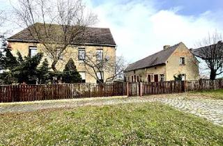 Haus kaufen in 04860 Torgau, Torgau - GROßE WOHNFLÄCHE FÜR PROJEKTENTWICKLER