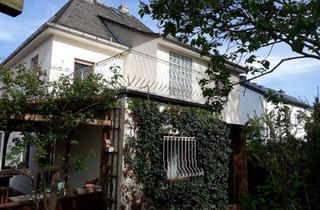 Wohnung mieten in 65375 Oestrich-Winkel, 5-Zimmer-Maisonette-Wohnung mit gr. Balkon in Oestrich/ruhige Lage.