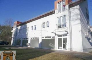 Wohnung mieten in 02994 Bernsdorf, Große 2-R-WE neu gestaltet - mit Klimaanlage! Alle