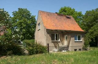 Einfamilienhaus kaufen in 16269 Bliesdorf, TOP! Einfamilienhaus, Waschhaus und Stallungen auf ca. 7.060 m2 Grundstück.