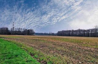 Gewerbeimmobilie kaufen in 49565 Bramsche, 8.1 Hektar landwirtschaftliche Flächen in Sögeln - Bramsche