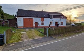 Einfamilienhaus kaufen in 54689 Dahnen, Dahnen - Charmantes Einfamilienhaus in Allein - Waldrandlage, mit schönem Grundstück zu verkaufen!