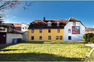 Haus kaufen in 06628 Lanitz-Hassel-Tal, Lanitz-Hassel-Tal - Mehrgenerationen-Wohnen, oder Wohngemeinschaft in MFH mit 9WE