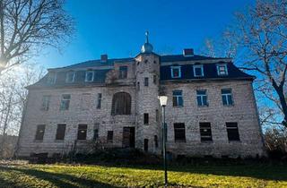 Haus kaufen in 06179 Teutschenthal, Teutschenthal - Schloss Köchstedt mit großem Grundstück u. mögl. Erw. durch Anbau