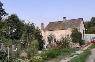 Einfamilienhaus kaufen in 39317 Parey, Elbe-Parey - Haus in Bergzow (Elbe-Parey) mit Grundstück (1350 qm)