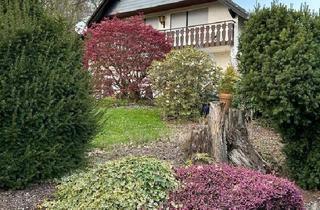 Einfamilienhaus kaufen in 56812 Cochem, Cochem - Einfamilienhaus in Cochem Mosel Waldlage 1000 qm Grundstück