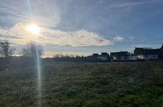 Grundstück zu kaufen in 04860 Torgau, Traumhaftes Baugrundstück mit vielseitigen Nutzungsmöglichkeiten!