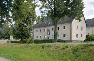 Wohnung kaufen in 09618 Brand-Erbisdorf, Brand-Erbisdorf - Renoviertes Wohnung, BE Ortsteil Langenau, Eigennützer oder Inves
