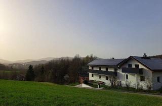 Mehrfamilienhaus kaufen in 94163 Saldenburg, Saldenburg - Mehrfamilienhaus in idyllischer Lage