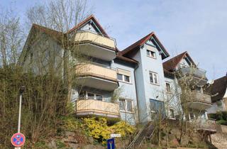 Wohnung kaufen in Zur Grotte 11, 63846 Laufach, Moderne 4 1/2-Zimmer-Maisonette-Wohnung Laufach/Hain