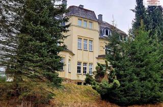 Wohnung mieten in Bahnhofstr. 30, 09544 Neuhausen/Erzgebirge, Die erste eigene Wohnung - in einer denkmalgeschützten Villa und herrlicher Umgebung