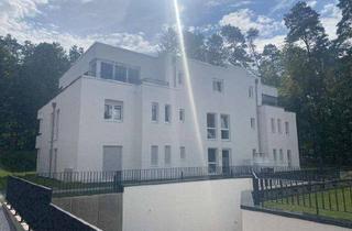 Wohnung mieten in 66424 Homburg, KfW 40 - Neubau - offen-moderne Erdgeschosswohnung in ruhiger Lage mit Terrasse und Garten