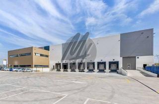 Gewerbeimmobilie mieten in 64521 Groß-Gerau, PROVISIONSFREI ✓ LOGISTIK-NEUBAU ✓ 30.000 m² / teilbar ✓ viele Rampen ✓ 12 m Höhe ✓