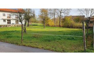Grundstück zu kaufen in Hintsberg, 85643 Steinhöring, Baugrundstück mit ca. 431 m² für eine DHH in Hintsberg-Steinhöring zu verkaufen!