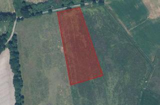 Gewerbeimmobilie kaufen in 26655 Westerstede, Ca. 1,3 Hektar landwirtschaftliche Ausgleichsfläche in Hollwegerfeld