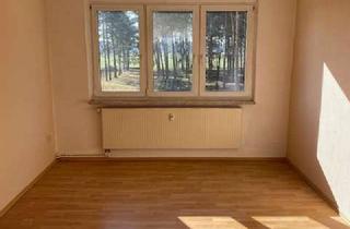 Wohnung mieten in Krinaer Str. 13/14, 06772 Tornau, 2 Raumwohnung im Heidedorf mit Garage