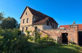 Bauernhaus kaufen in 06193 Wettin-Löbejün, Wettin-Löbejün - Idyllischer 4 Seitenbauernhof mit sehr großem Grundstück