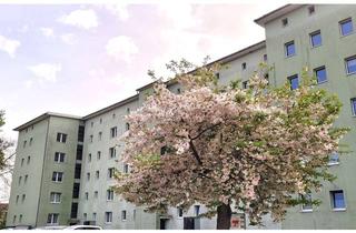 Wohnung mieten in Lessingstraße 48-50, 39240 Calbe (Saale), Ihre 3 Raum-Wohnung mit Balkon ist frei