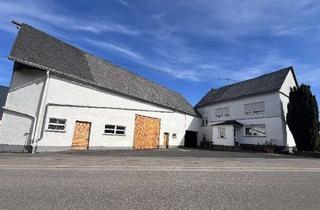 Haus kaufen in 56288 Zilshausen, Ein Anwesen für alle Fälle