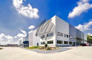 Gewerbeimmobilie mieten in 65479 Raunheim, PROVISIONSFREI ✓ LAGER-/LOGISTIK-NEUBAU ✓ 20.000 m² / teilbar ✓ Rampe + eben ✓ 10 m Höhe ✓