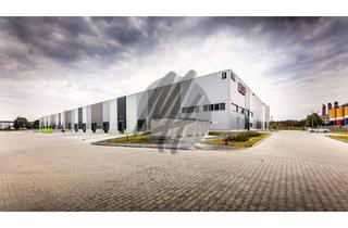 Gewerbeimmobilie mieten in 65479 Raunheim, PROVISIONSFREI ✓ LAGER-/LOGISTIK-NEUBAU ✓ 30.000 m² / teilbar ✓ Rampe + eben ✓ 10 m Höhe ✓