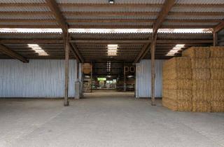 Gewerbeimmobilie mieten in 56850 Briedeler Heck, Kalthalle, ca. 3.500 m², ca. 13 km vom Flughafen Hahn entfernt, PROVISIONSFREI zu vermieten