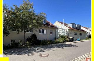 Wohnung kaufen in 09235 Burkhardtsdorf, PREISHIT !!! 2-Raumwohnung mit Balkon und LIft zum Sofortbezug !!!