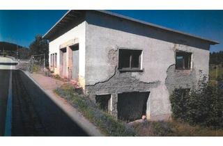 Haus kaufen in 94124 Büchlberg, Büchlberg - Grundstück mit Immobilie (renovierungsbedürftig) in Philippsreut