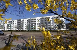 Wohnung mieten in Askanische Straße 80, 06842 Innerstädtischer Bereich Mitte, Wohnen im Zentrum