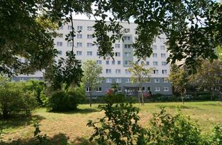 Wohnung mieten in Ferd.-V.-Schill-Straße 18, 06844 Innerstädtischer Bereich Mitte, Erstbezug nach Sanierung 2024