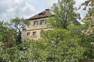 Haus kaufen in Schloßstraße 00, 91207 Lauf an der Pegnitz, Wohnen im Denkmal. Historisches Kolerschloß in Neunhof bei Nürnberg