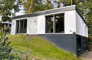Haus kaufen in 21244 Buchholz in der Nordheide, Buchholz in der Nordheide - Umfassend modernisierter Bungalow in toller, grüner Lage!