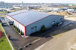 Gewerbeimmobilie kaufen in Hanns-Martin-Schleyer-Straße 19, 89415 Lauingen, zu verkaufen : Freitragende Halle (2.500 m²), PV-Anlage optional-sehr großes Grundstück (17.000 m²)