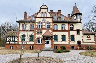 Anlageobjekt in 14715 Schollene, Wunderschönes teilsaniertes Schloss Mahlitz I großzügige Waldfläche I flexible Nutzungsmöglichkeiten